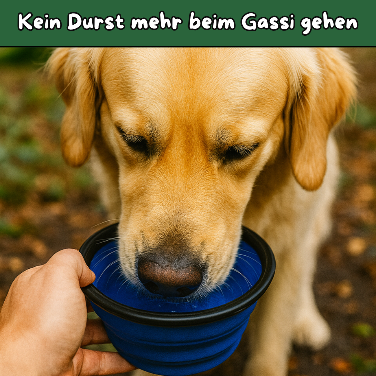 TravelBowl | Wassernapf für Unterwegs