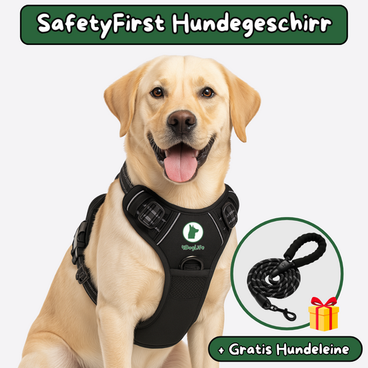 SafetyFirst Hundegeschirr