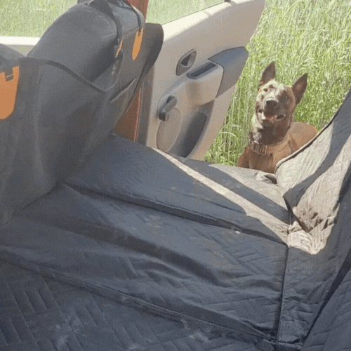 SafetyFirst Hundematte fürs Auto