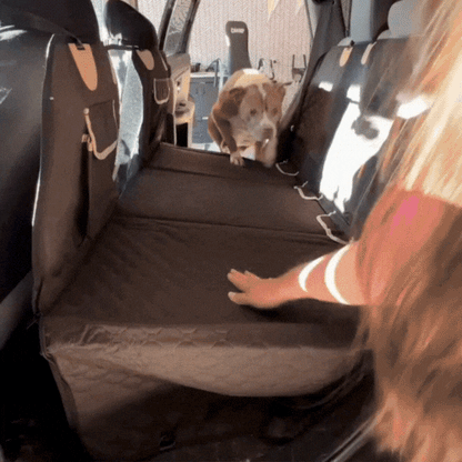 Hartboden Automatte für Hunde
